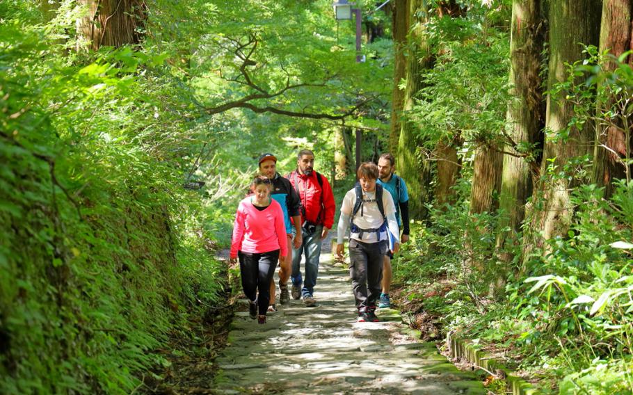 trail in Daisen, Tottori Prefecture