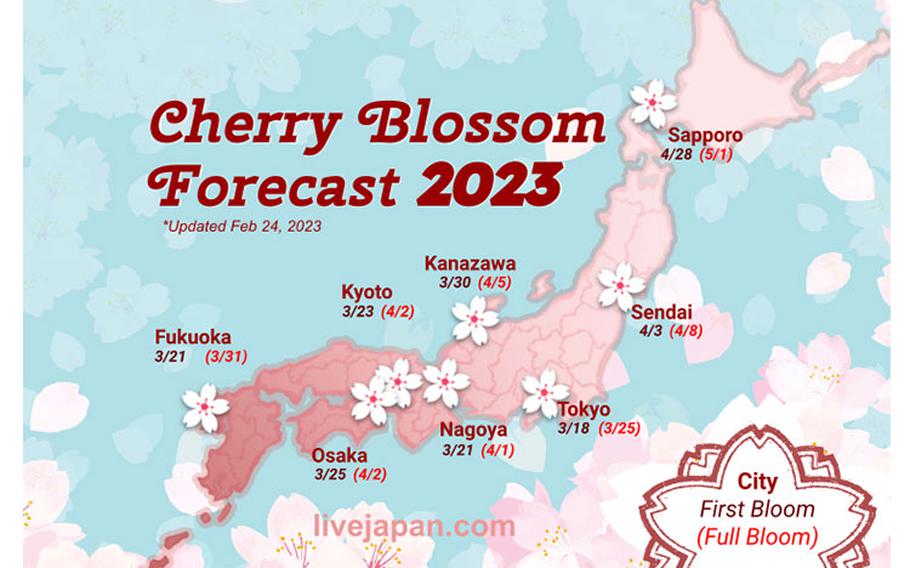 Japan Cherry Blossoms: When & where to see sakura in 2023 | Stripes Japan
