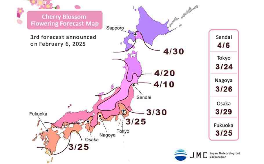 Cherry Blossom Flowering Forecast Map 2025