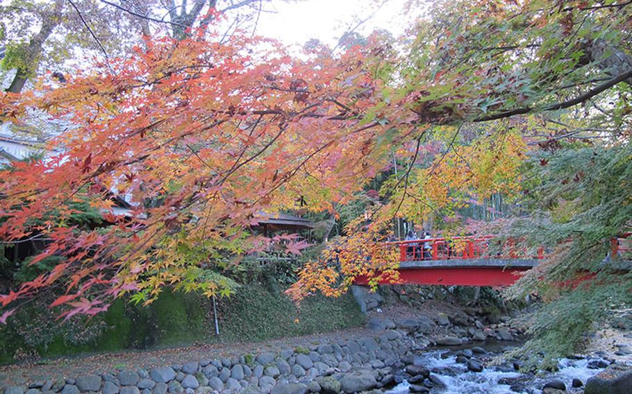 Photo by Takahiro Takiguchi