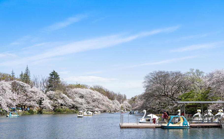 Inokashira Park