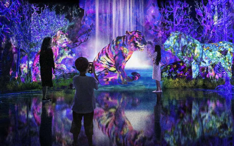 © teamLab