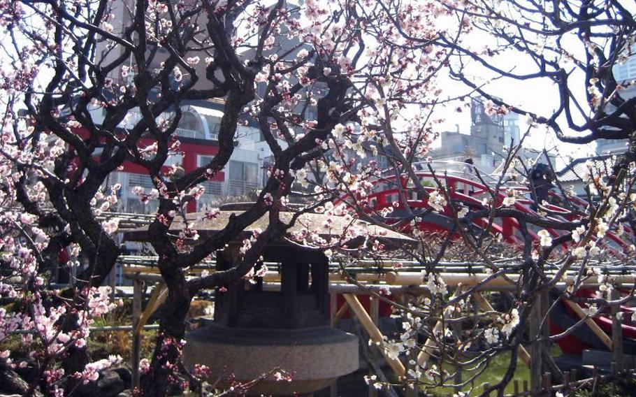 Kameido Tenjin Shrine