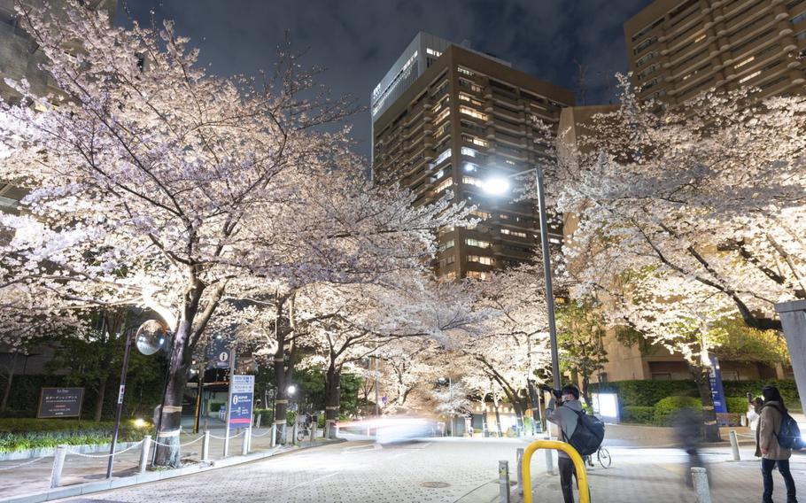 Photo: Mori Building Co., Ltd.