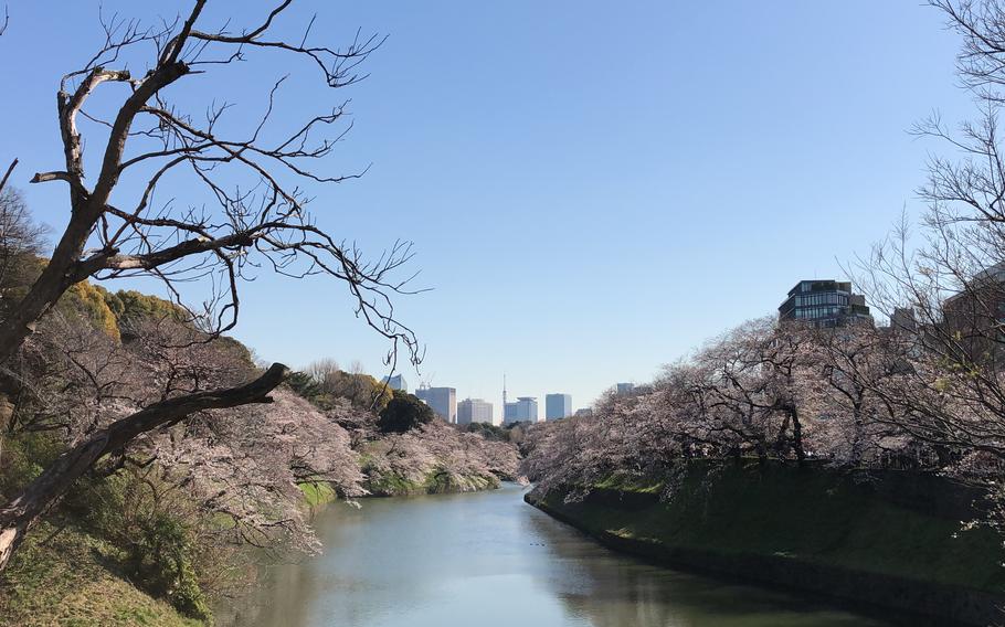 Chidorigafuchi