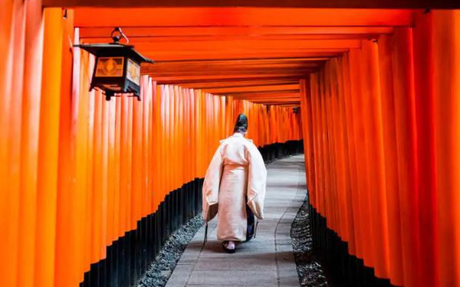 numerous torii gates and a Shinto priest