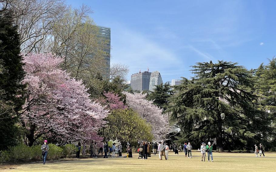 Shinjuku Gyoen