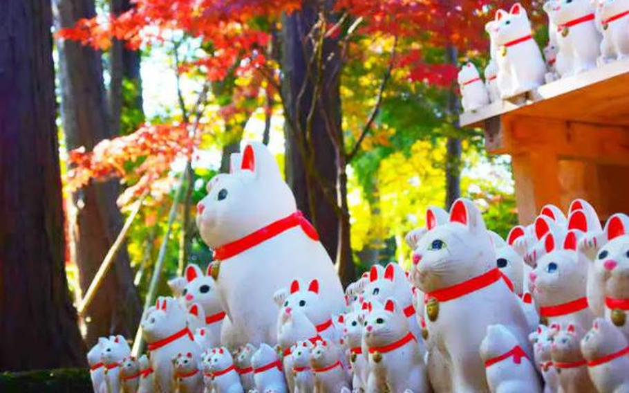 Maneki neko dolls at Gotokuji Temple