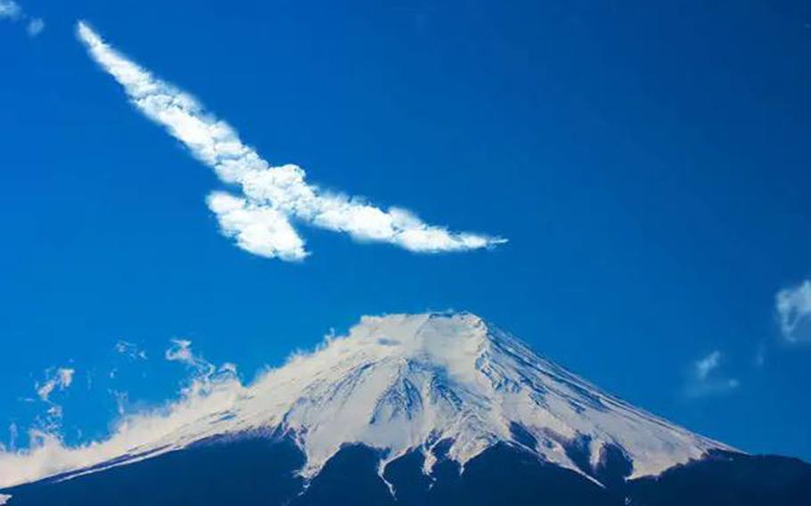 Mount Fuji and hawk